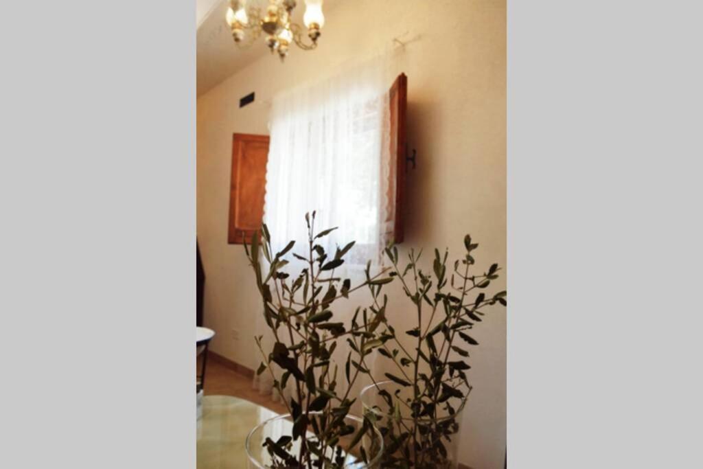 Trulli Monteforte 빌라 카스텔리 외부 사진