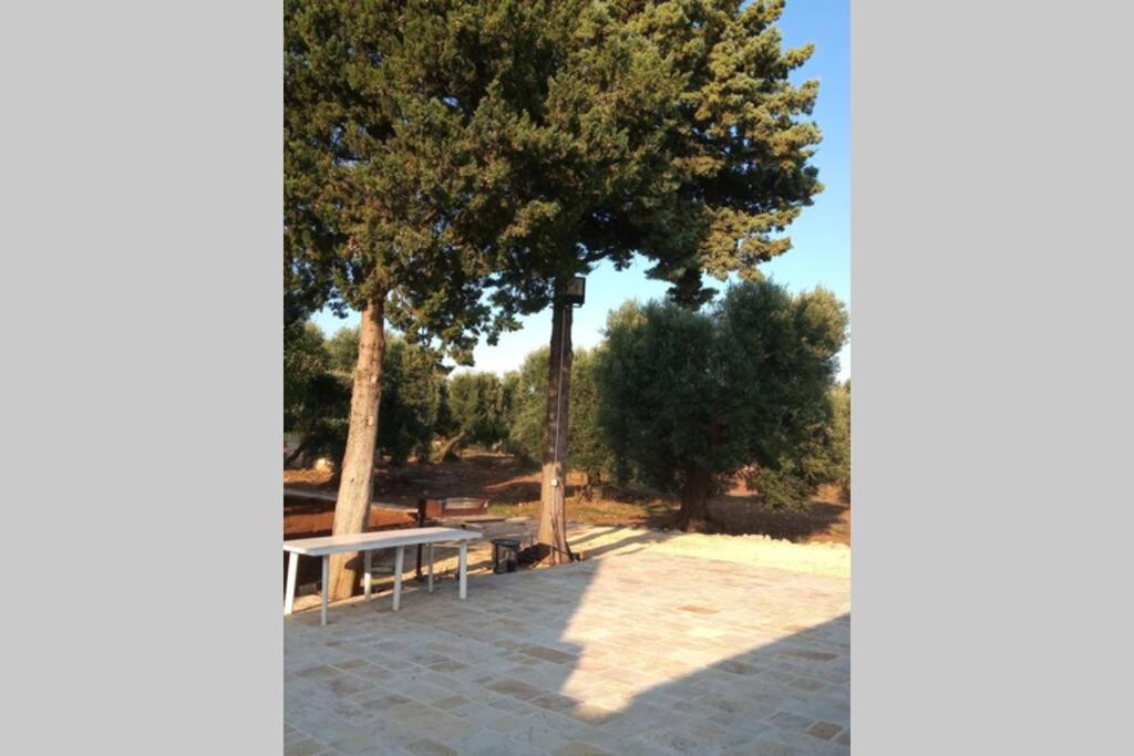 Trulli Monteforte 빌라 카스텔리 외부 사진