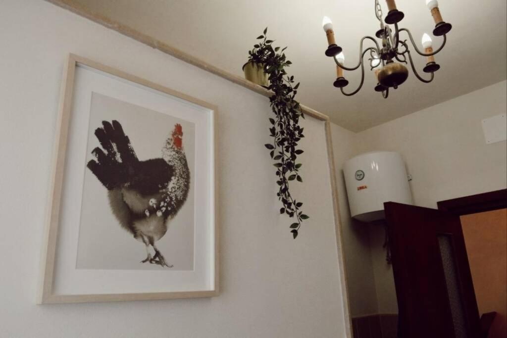 Trulli Monteforte 빌라 카스텔리 외부 사진