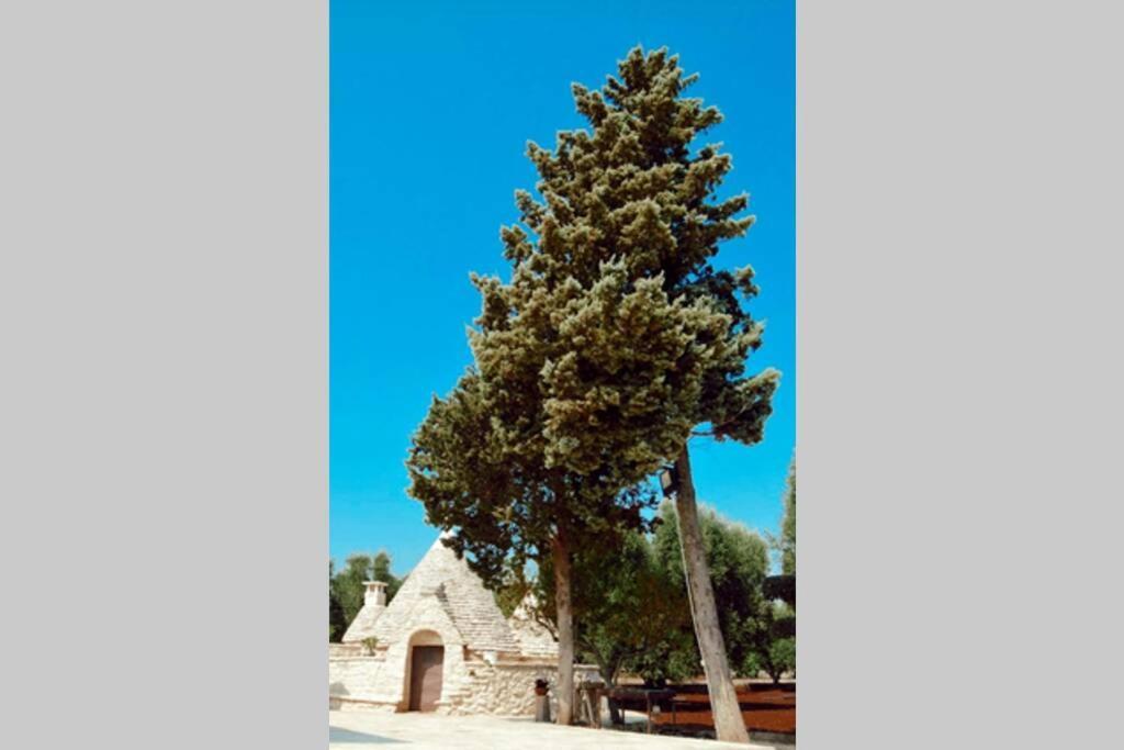 Trulli Monteforte 빌라 카스텔리 외부 사진