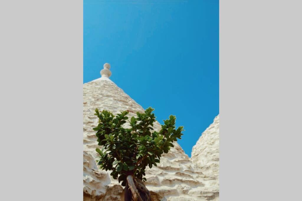 Trulli Monteforte 빌라 카스텔리 외부 사진
